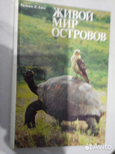 Книга: Уильям Х. Амос. Живой мир островов