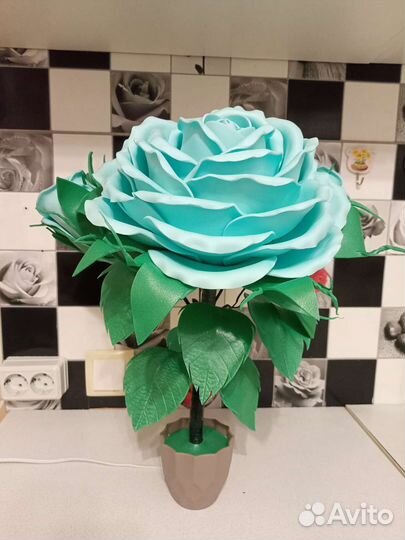 Роза кустовая