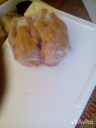 Продам цыплять тобака