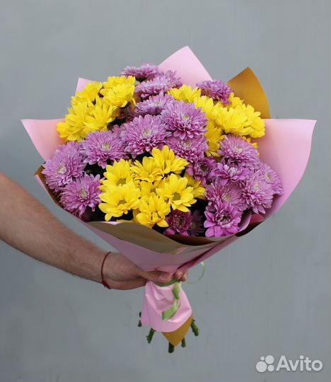 Хризантемы