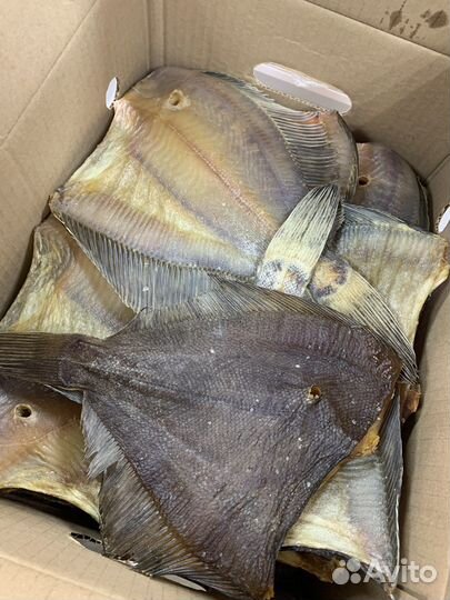 Камбала, мойва вяленая