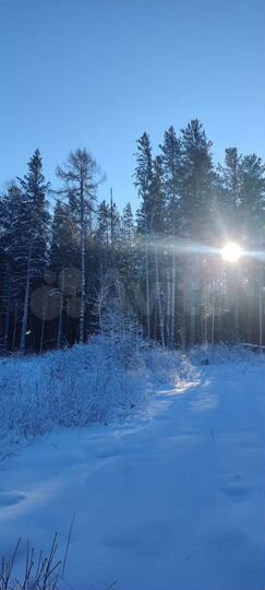 Дом 180 м² на участке 14 сот.