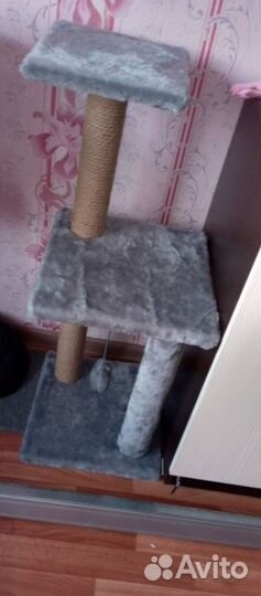 Когтеточка