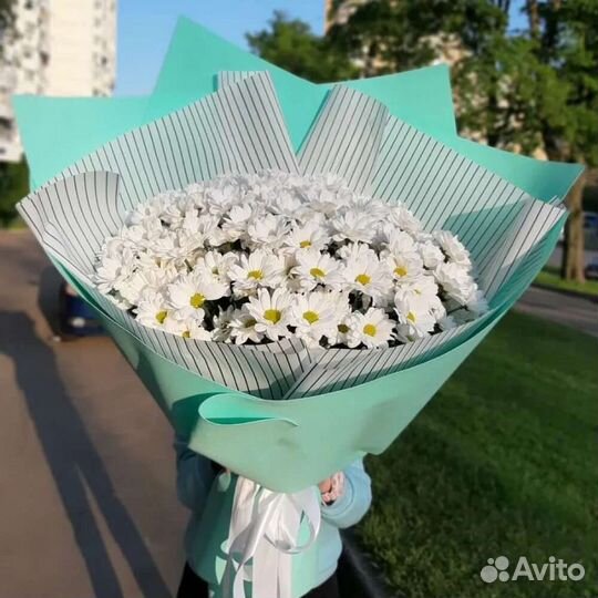 Букет гигант из хризантем ромашка доставка