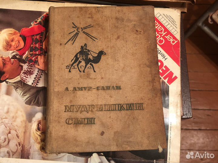 А.Амур-Санан Мудрешкин сын книга