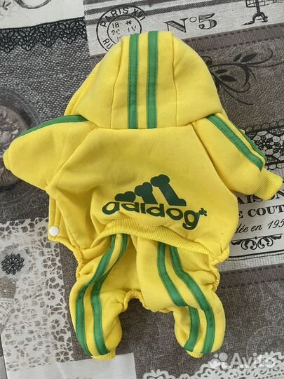 Одежда для собак