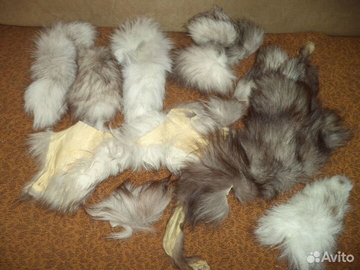 Меховые шкурки