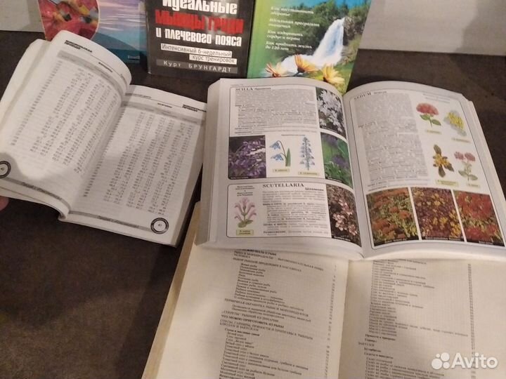 Книги о здоровье спорте и кулинарии