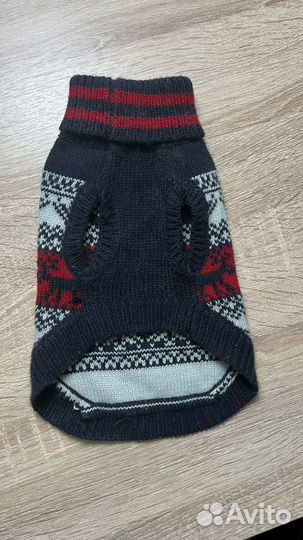Одежда для собак мелких пород