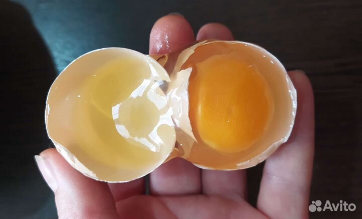 Домашние куриные яйца