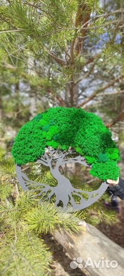 Настенное панно,дерево жизни,панно со мхом