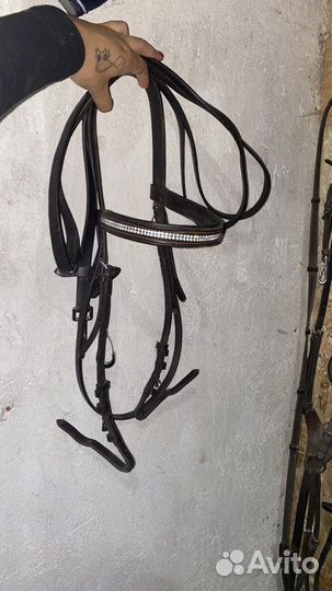 Конная амуниция