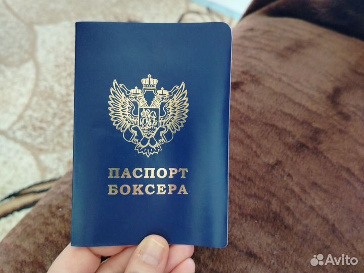 Паспорт боксёра