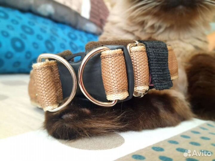 Ошейник для собак ручной работы