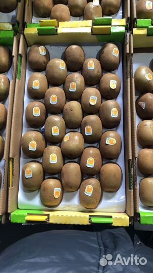 Овощи и Фрукты