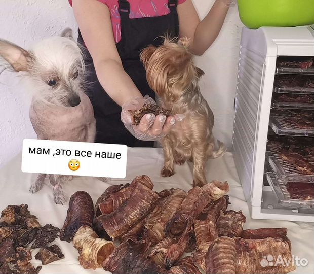 Лакомства для собак