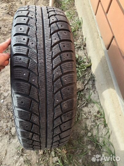 Gislaved Nord Frost 5 185/65 R15