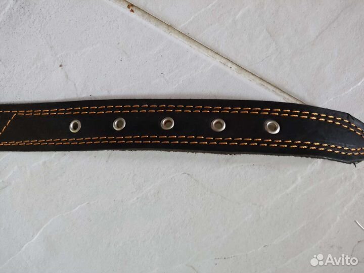 Ошейник для собак