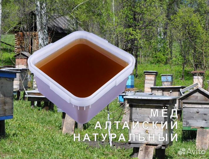 Мёд натуральный с Алтая опт