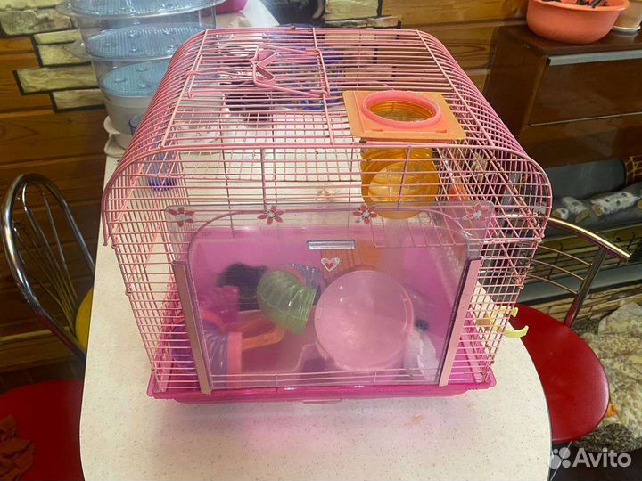 Клетки для кролика, морской свинки и хомячков