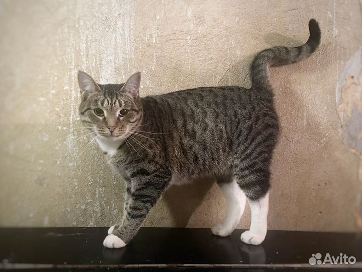 Анфиса терпеливым людям