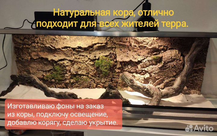 Террариумы для рептилий в наличии и под заказ