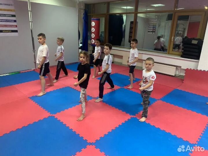 Маты ласточкин хвост для школы от производителя