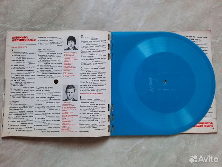 Пластинки в 