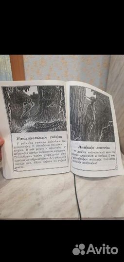 Учебное пособие для дошкольников