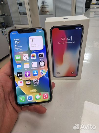 iPhone X, 256 ГБ