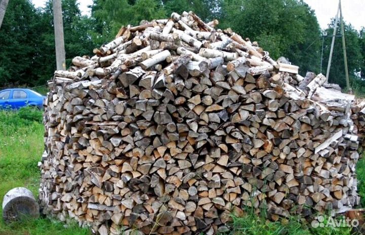 Дрова Береза