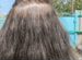 Наращивание волос в Лнр