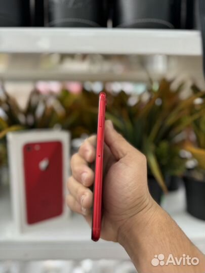 iPhone 8, 64 ГБ