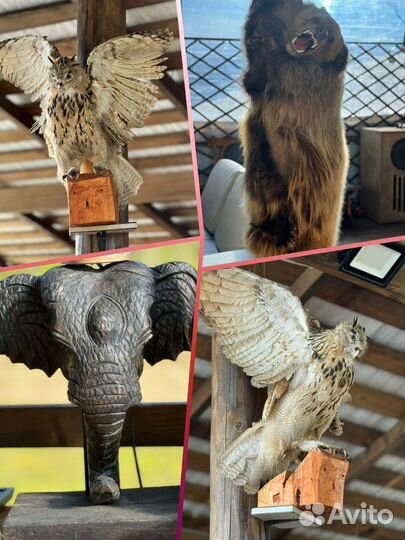 Сплав по реке белая(2 дня)(с.старосубхангулово)