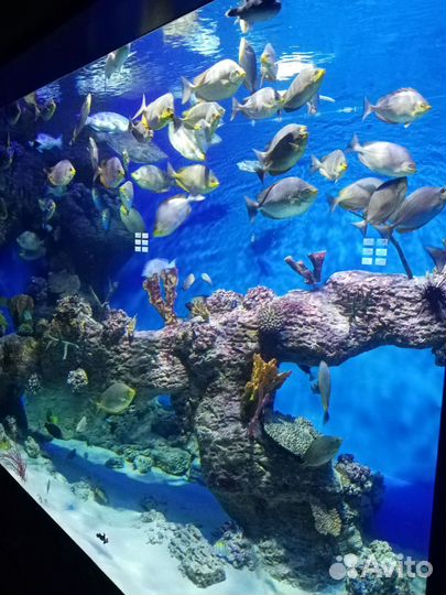 Билеты в Москвариум