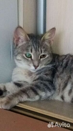 Тонечка в семью