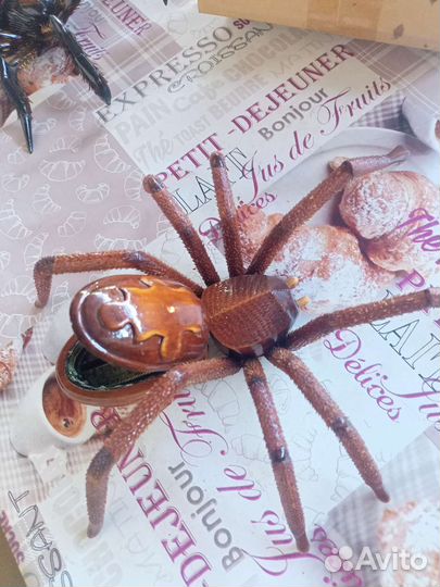 Шкатулка паук