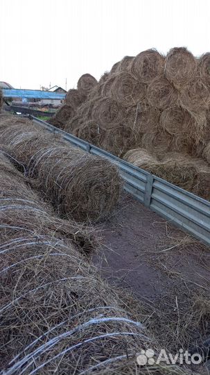 Продам сено в тюках