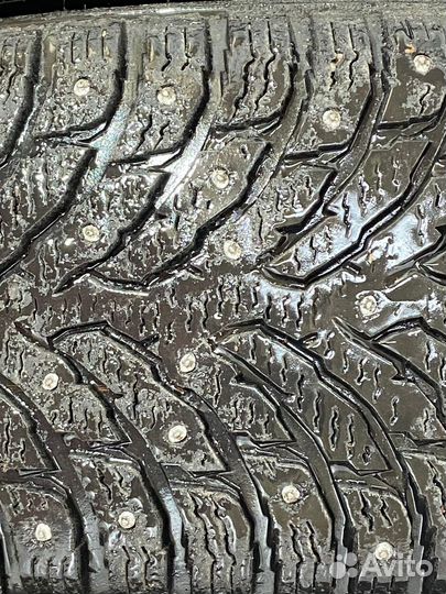 Nokian Tyres Hakkapeliitta 9 205/65 R16 95T