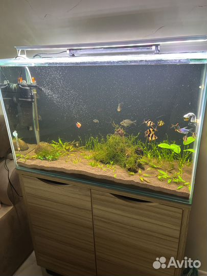 Аквариум с тумбой
