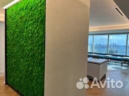 Стены из мха: внутренняя гармония Арт: 214333