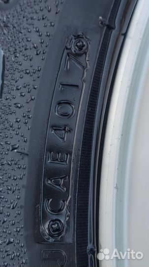 Akuret Hi-Run Bias 5.10/8.5 R12C