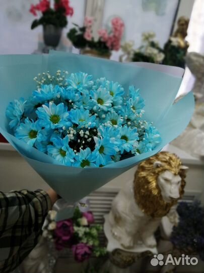 Хризантема кустовая, букеты из хризантем