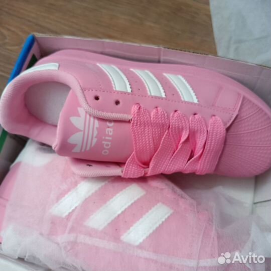 Adidas Campus (Superstar)