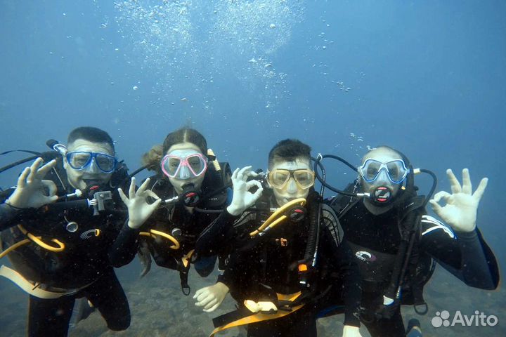 Дайвинг Адлер