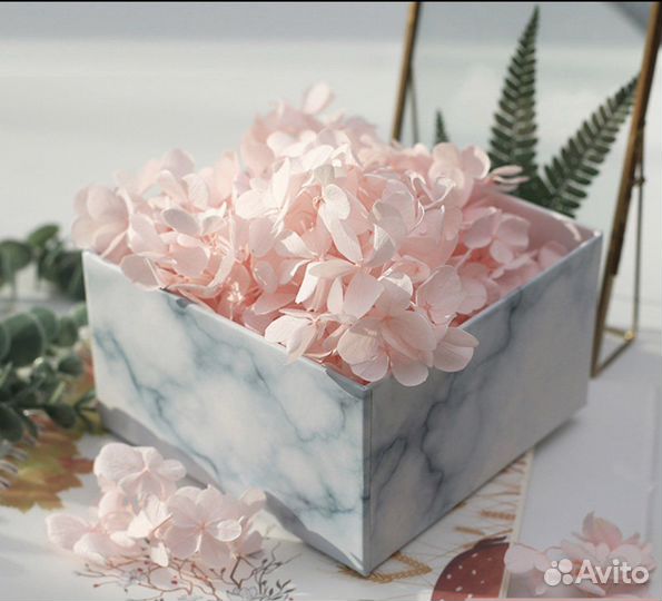 Сушеные цветы Гортензия розовый цвет