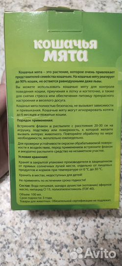 Кошачья мята 