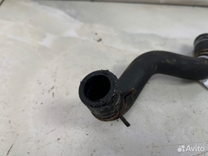 Шланг гидроусилителя Ford Focus 2 CB4 1.6 (shda)
