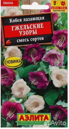 Кобея лазающая