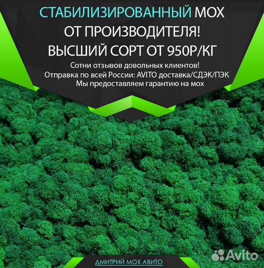 Стабилизированный мох для стен декора интерьера